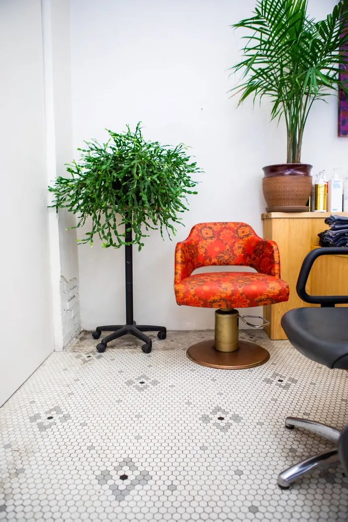 A coral styling chair next to potted plants